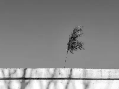 カジノ クラッシー スロッツ モバイルアプリ